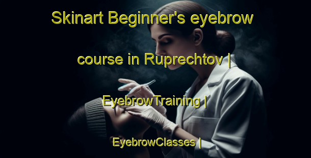 Skinart Beginner's eyebrow course in Ruprechtov | EyebrowTraining | EyebrowClasses | SkinartTraining-Czech Republic